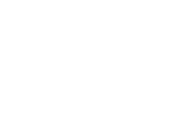 RIGOTECH